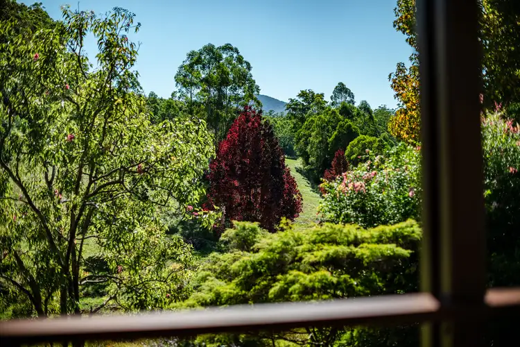 Fifth view of Homely rural property listing, 39 Reids Road, Bellingen NSW 2454