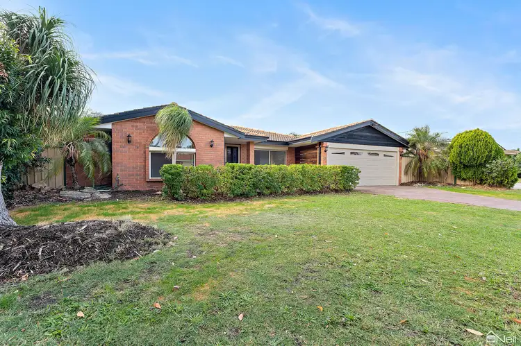 Third view of Homely house listing, 3 Denning Court, Seville Grove WA 6112