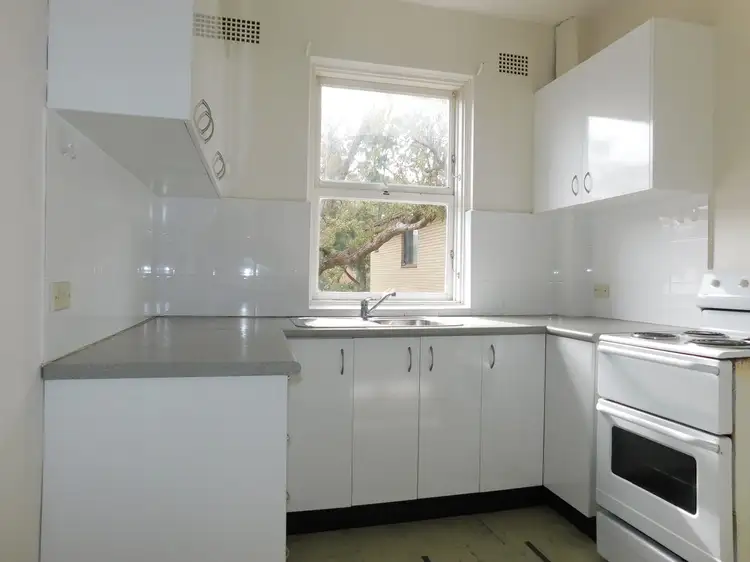 Second view of Homely apartment listing, 24/29 Penkivil Street, Bondi NSW 2026