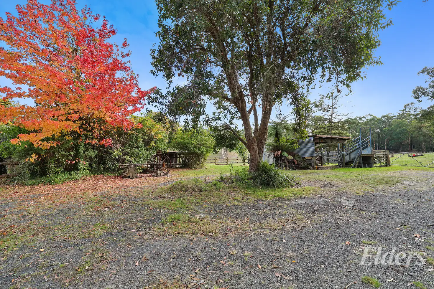 Main view of Homely rural property listing, 20 Bridge Road, Crossover VIC 3821