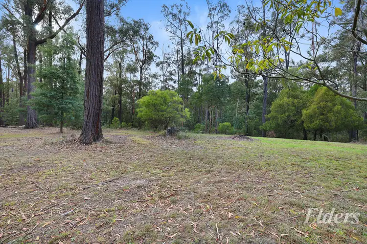 Third view of Homely rural property listing, 20 Bridge Road, Crossover VIC 3821