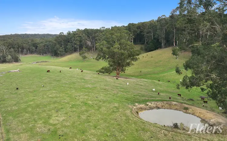 Fifth view of Homely rural property listing, 20 Bridge Road, Crossover VIC 3821