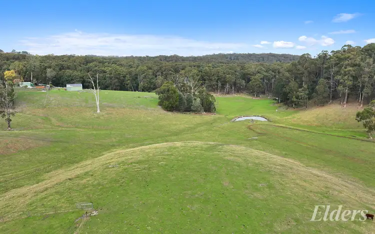 Sixth view of Homely rural property listing, 20 Bridge Road, Crossover VIC 3821