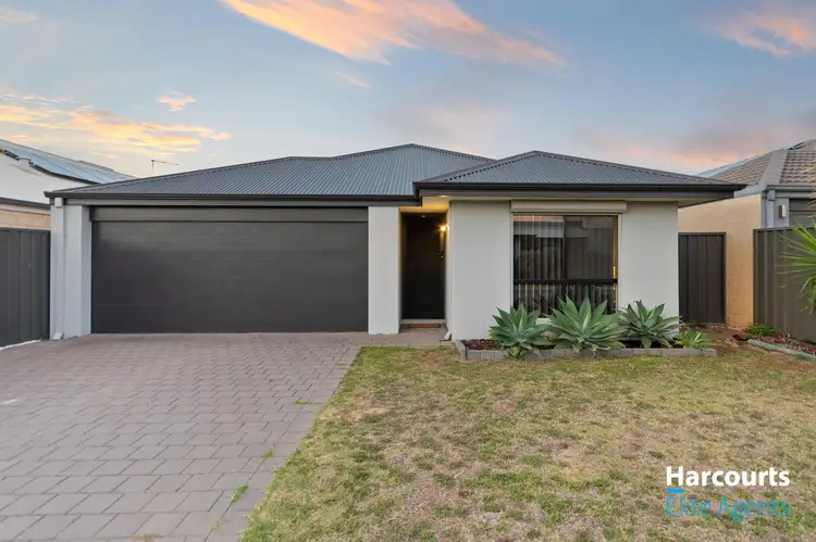 Main view of Homely house listing, 31 Bottlenose Circuit, Waikiki WA 6169