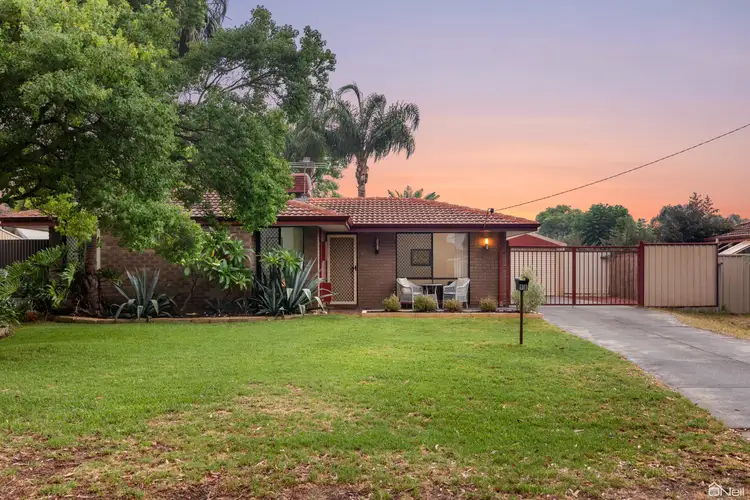 Main view of Homely house listing, 98 Strawberry Drive, Seville Grove WA 6112