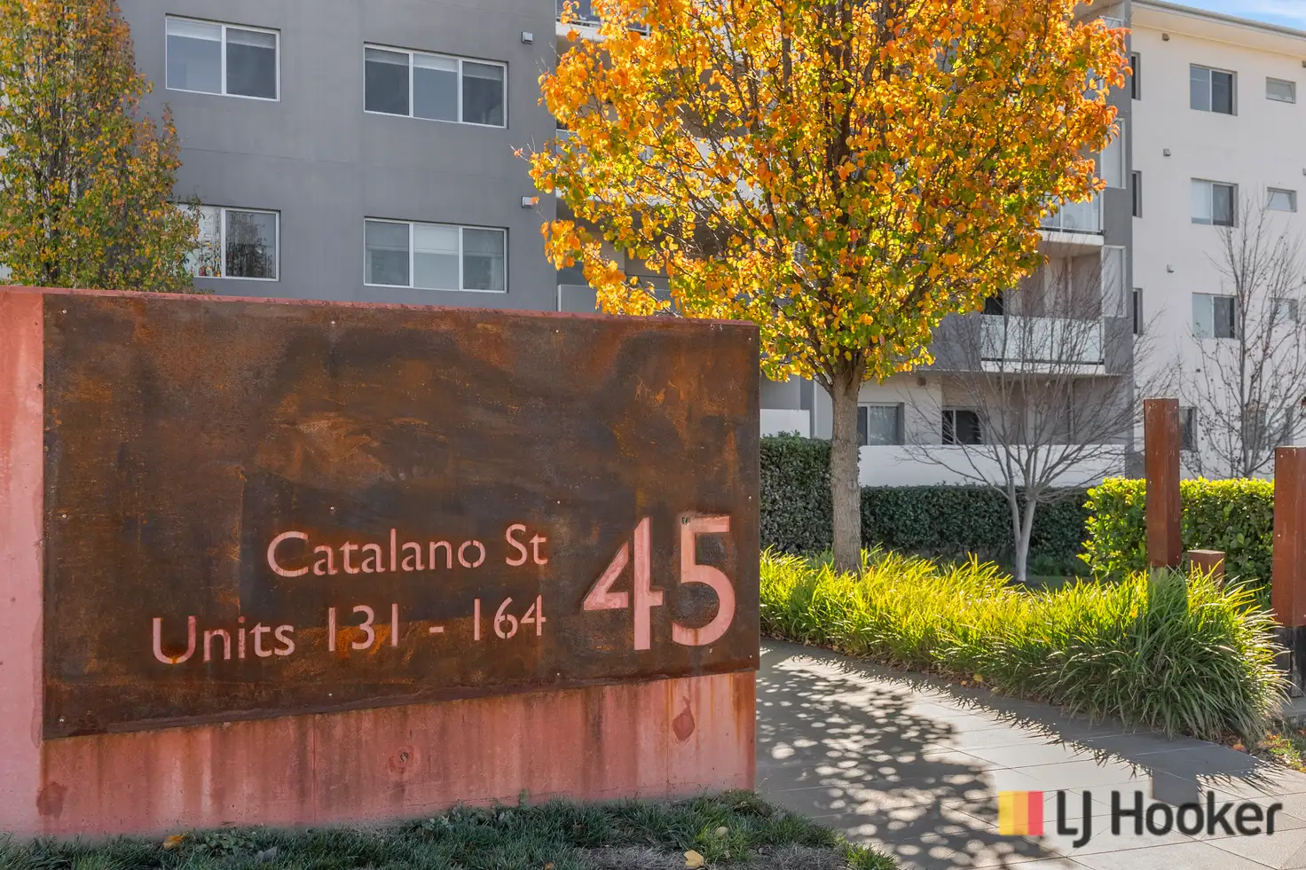 Main view of Homely apartment listing, 154/45 Catalano Street, Wright ACT 2611