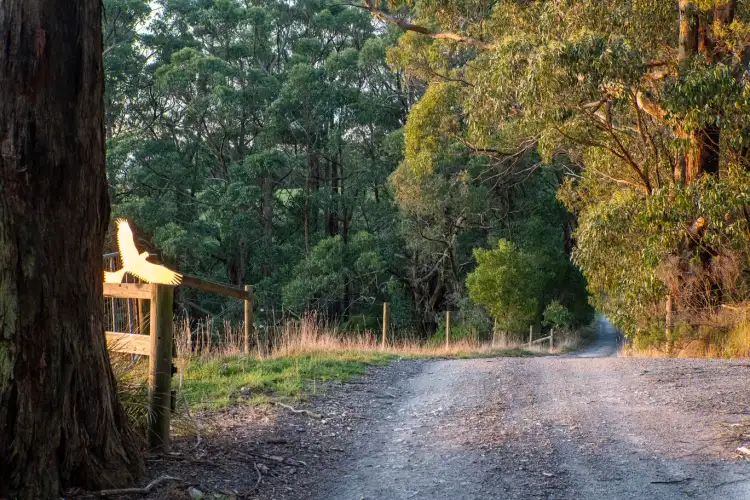 Second view of Homely rural property listing, 2160 Meeniyan -Promontory Rd, Fish Creek VIC 3959