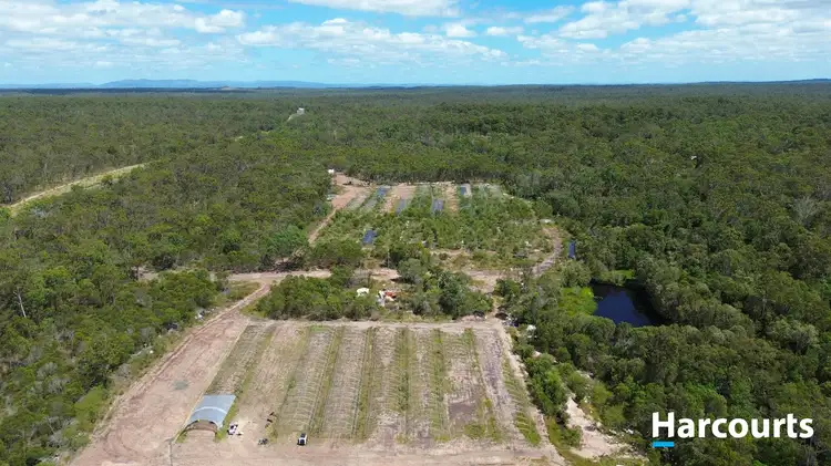 Fourth view of Homely rural property listing, 30428 Bruce Highway, Isis Central QLD 4660
