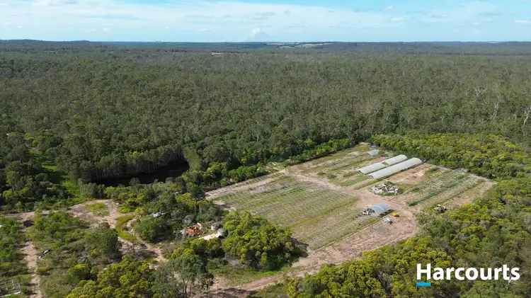 Sixth view of Homely rural property listing, 30428 Bruce Highway, Isis Central QLD 4660
