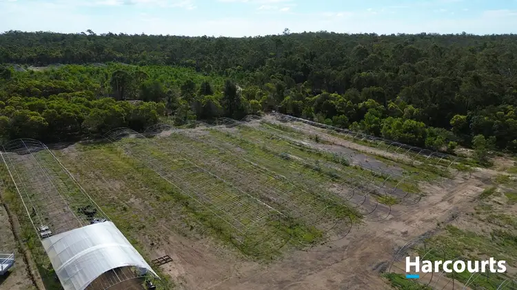 Seventh view of Homely rural property listing, 30428 Bruce Highway, Isis Central QLD 4660