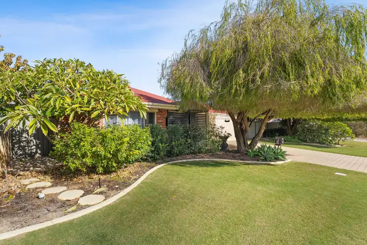 Third view of Homely house listing, 6 Westonia Link, Baldivis WA 6171