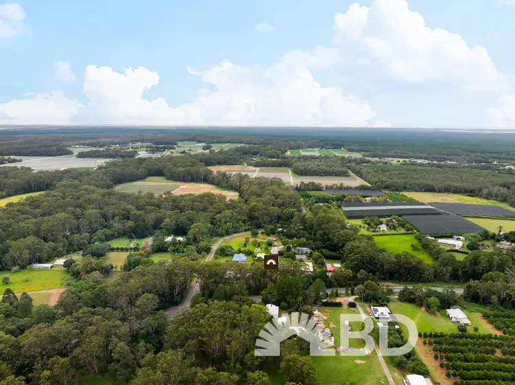 Fourth view of Homely house listing, 1171 Steve Irwin Way, Glass House Mountains QLD 4518