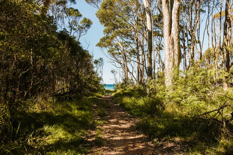 Fourth view of Homely house listing, 242 George Bass Drive, Lilli Pilli NSW 2536