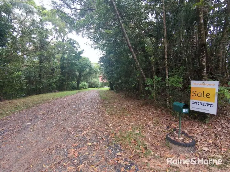 Fourth view of Homely house listing, 103 Ronald Road, Forest Creek, Daintree QLD 4873