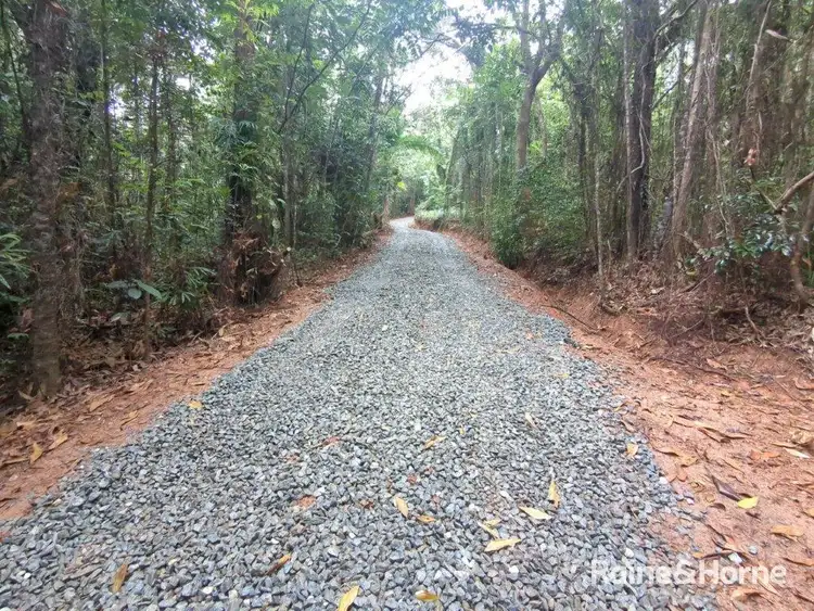 Fifth view of Homely house listing, 103 Ronald Road, Forest Creek, Daintree QLD 4873