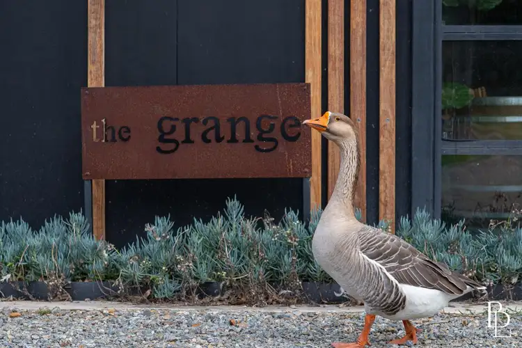 226 Bawley Point Road, Bawley Point NSW 2539