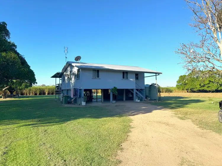 82 Butler Road, Jarvisfield QLD 4807