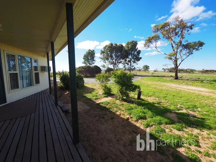 Third view of Homely house listing, 202 Vondousa Road, Younghusband SA 5238