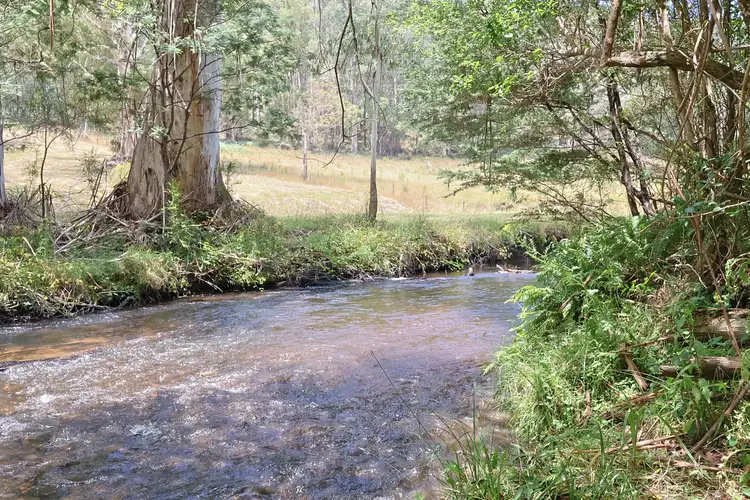 Lot 39 Toorongo Valley Road