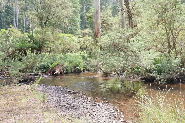 LOT 37 Toorongo Valley Road, Noojee VIC 3833