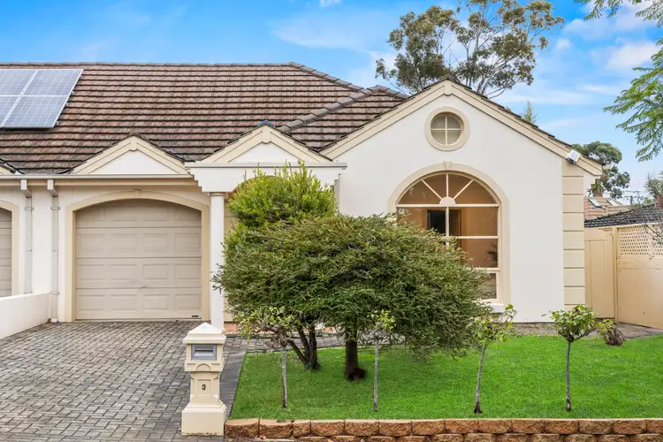 3 Anglesey Avenue, St Georges SA 5064