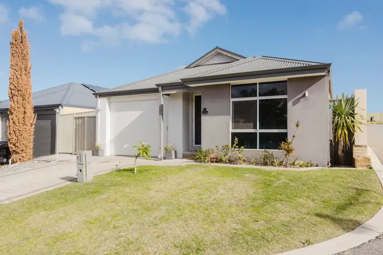 Second view of Homely house listing, 8 Chico Link, Alkimos WA 6038
