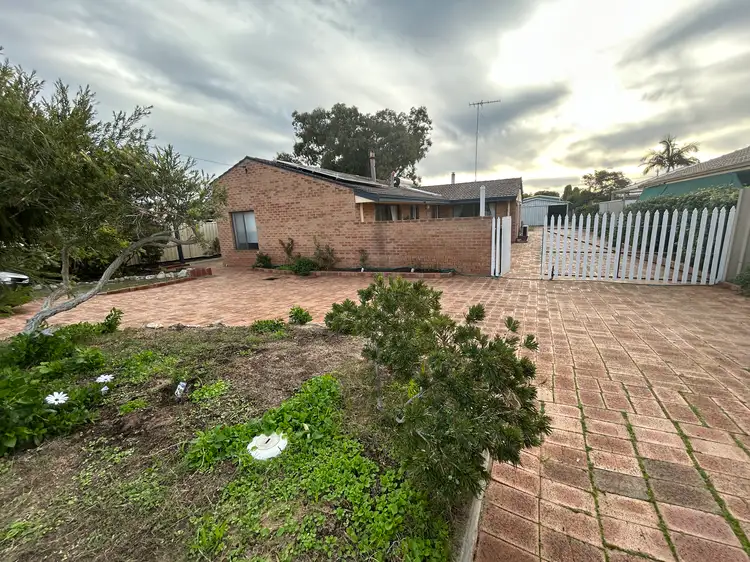 8 Lynda Street, Falcon WA 6210