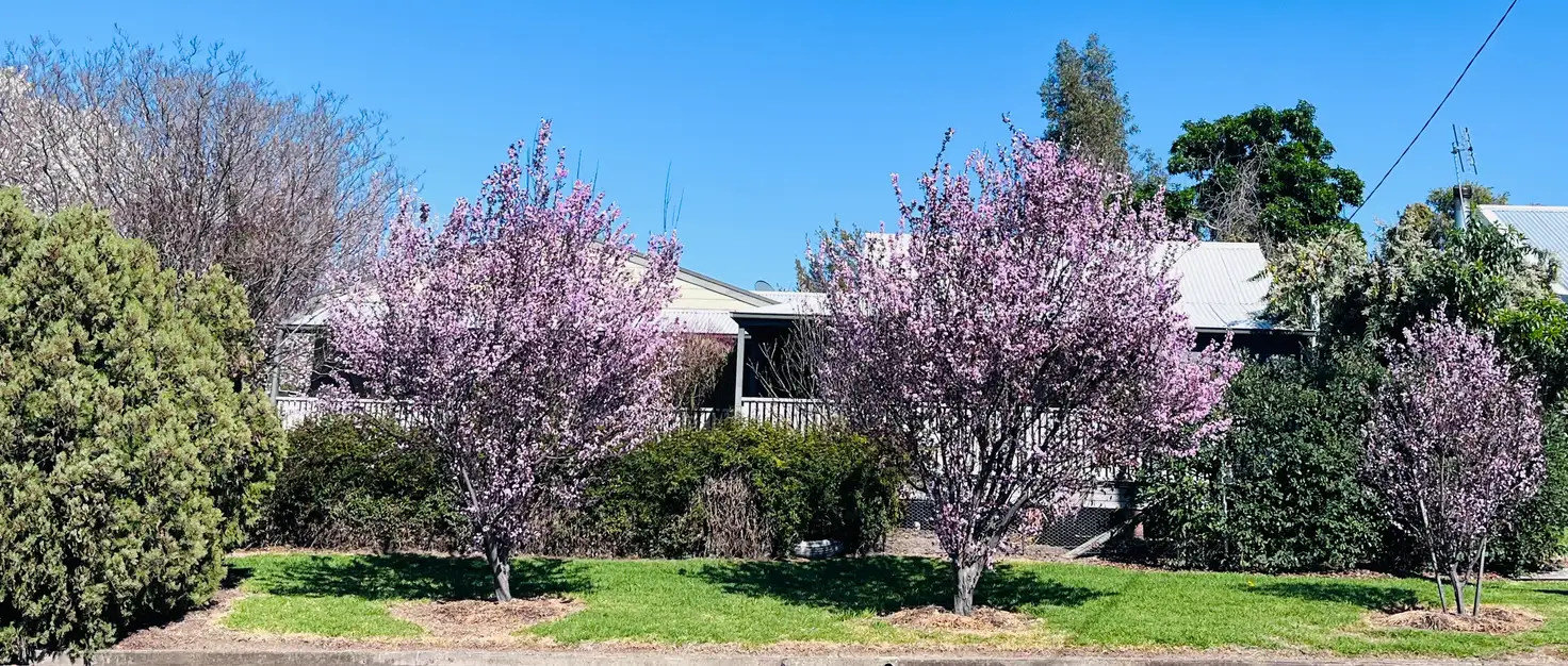 Main view of Homely house listing, 33 Church Street, Quirindi NSW 2343