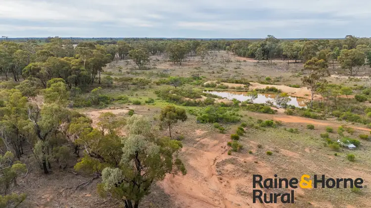 Second view of Homely rural property listing, 20 Sarsfield Road, Tullamore NSW 2874