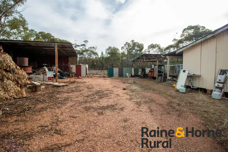 Fifth view of Homely rural property listing, 20 Sarsfield Road, Tullamore NSW 2874