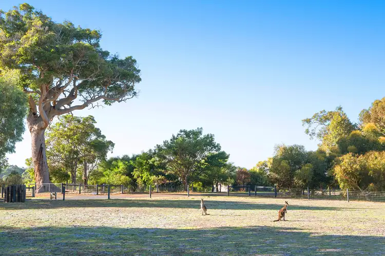 26 Hebrides Close, Quindalup WA 6281