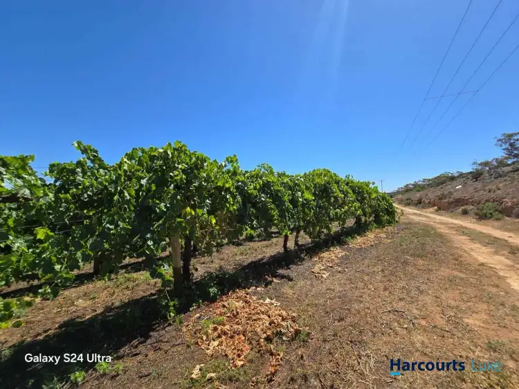 Fifth view of Homely rural property listing, 75 Claxton Road, Cadell SA 5321