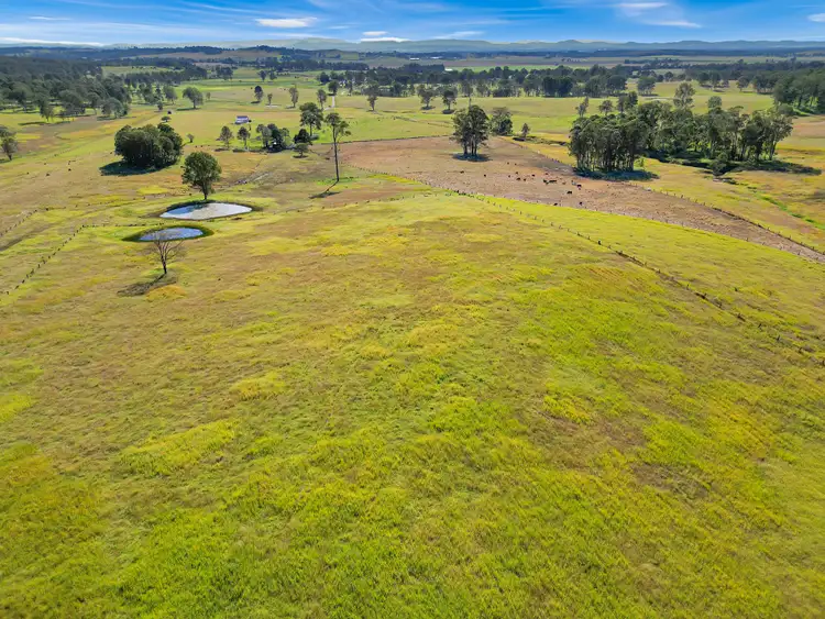 Second view of Homely rural property listing, 56 Ainsworth Road, Mongogarie NSW 2470