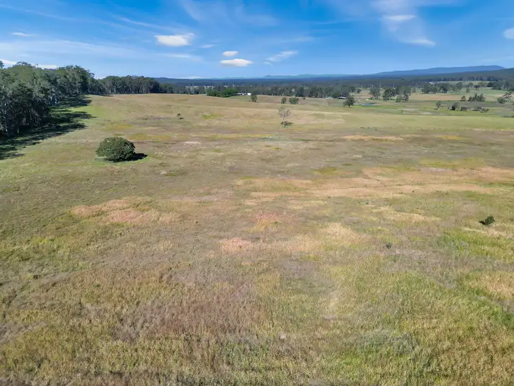 Sixth view of Homely rural property listing, 56 Ainsworth Road, Mongogarie NSW 2470