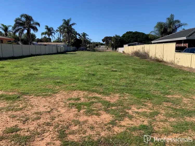 28 Houston Street, Spalding WA 6530
