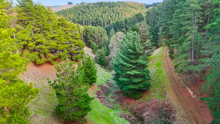 Second view of Homely rural property listing, Lot 203 Lode Road, Ashbourne SA 5157