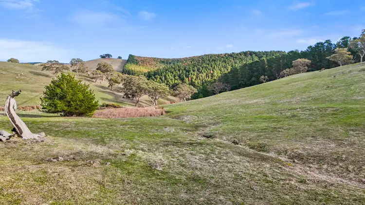 Fourth view of Homely rural property listing, Lot 203 Lode Road, Ashbourne SA 5157