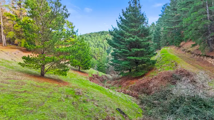 Fifth view of Homely rural property listing, Lot 203 Lode Road, Ashbourne SA 5157