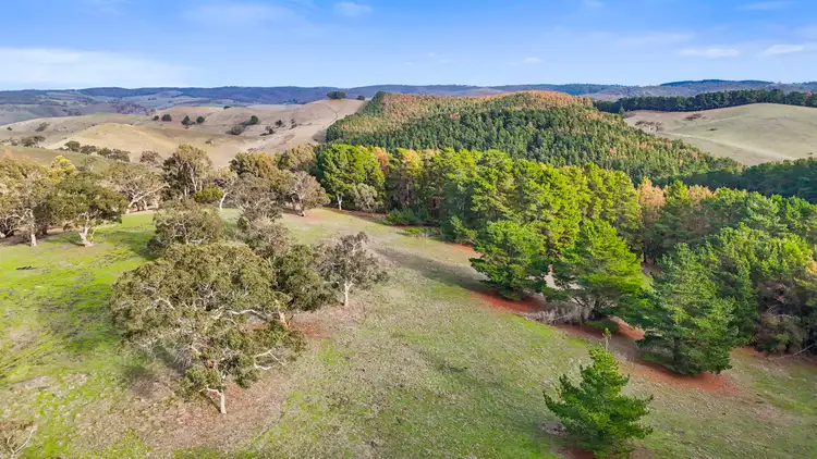 Seventh view of Homely rural property listing, Lot 203 Lode Road, Ashbourne SA 5157