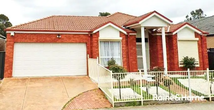 13 Naracoorte Avenue, Craigieburn VIC 3064