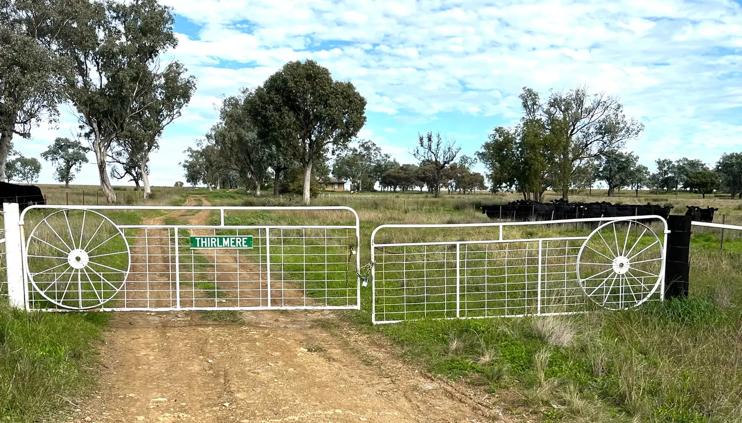 Main view of Homely rural property listing, "Thirlmere" 450 Bridges Road, Gunnedah NSW 2380