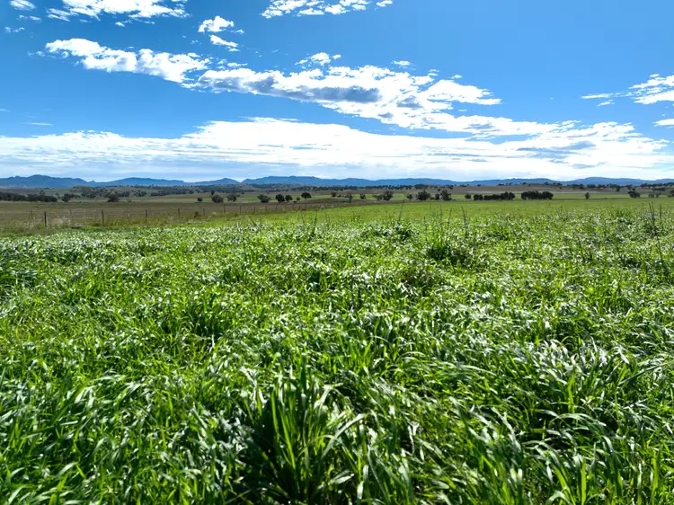 Fourth view of Homely rural property listing, "Thirlmere" 450 Bridges Road, Gunnedah NSW 2380