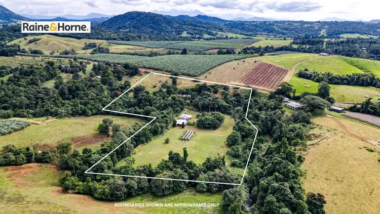 293 Utchee Creek Road, Utchee Creek QLD 4871