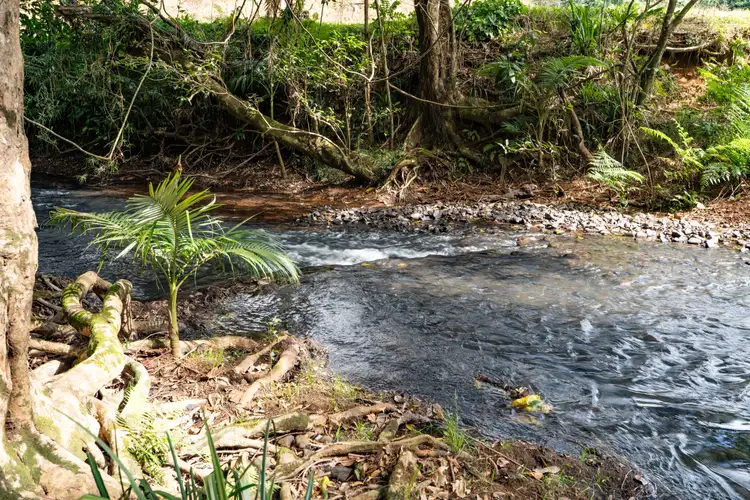 Third view of Homely house listing, 293 Utchee Creek Road, Utchee Creek QLD 4871