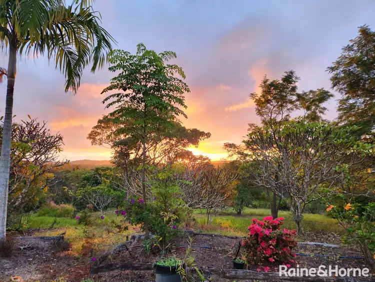 Third view of Homely house listing, 2620 Mossman-Mount Molloy Road, Mount Molloy QLD 4871