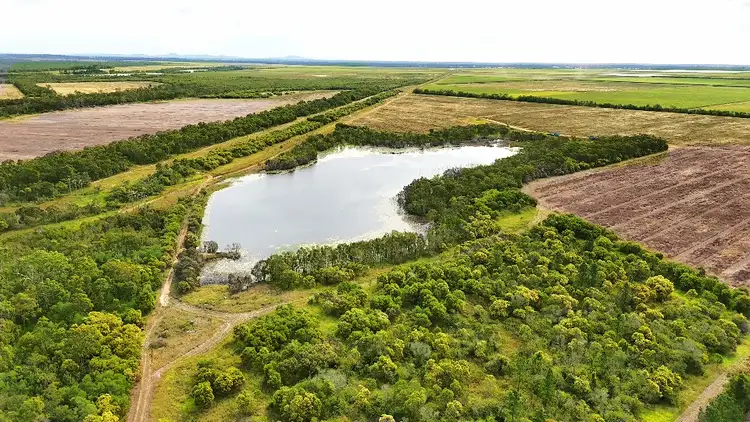 Third view of Homely rural property listing, 269 Des Loeskow road, Elliott QLD 4670