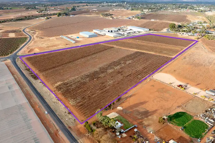 Lot/53 Jury Road, Glossop SA 5344