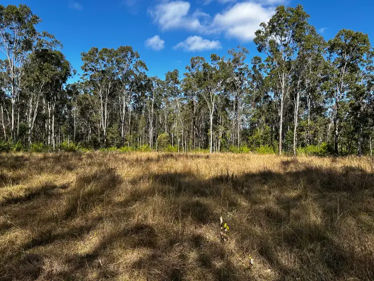 Third view of Homely rural property listing, Section 3, 919 Clearfield Road, Myrtle Creek NSW 2469