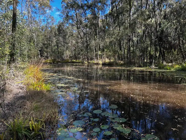 Fourth view of Homely rural property listing, Sec 3/919 Clearfield Road, Myrtle Creek NSW 2469