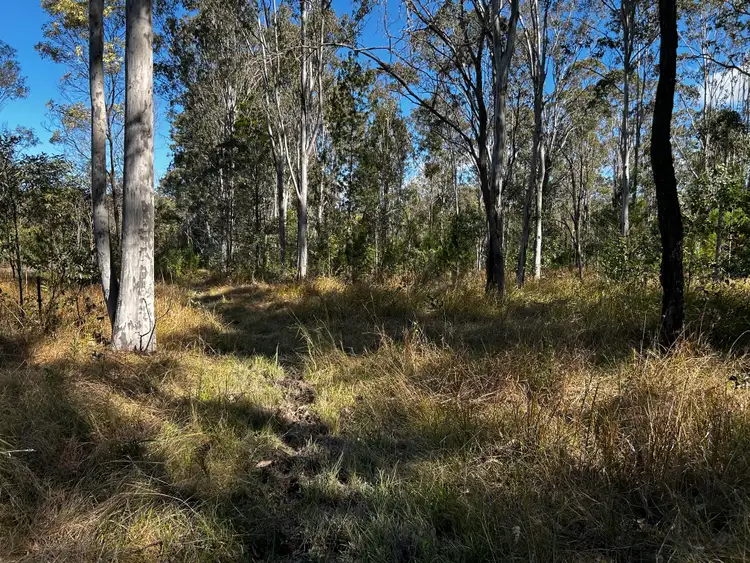 Seventh view of Homely rural property listing, Section 3, 919 Clearfield Road, Myrtle Creek NSW 2469